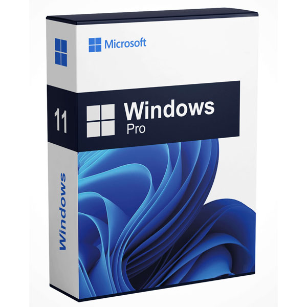 windows 11 professional